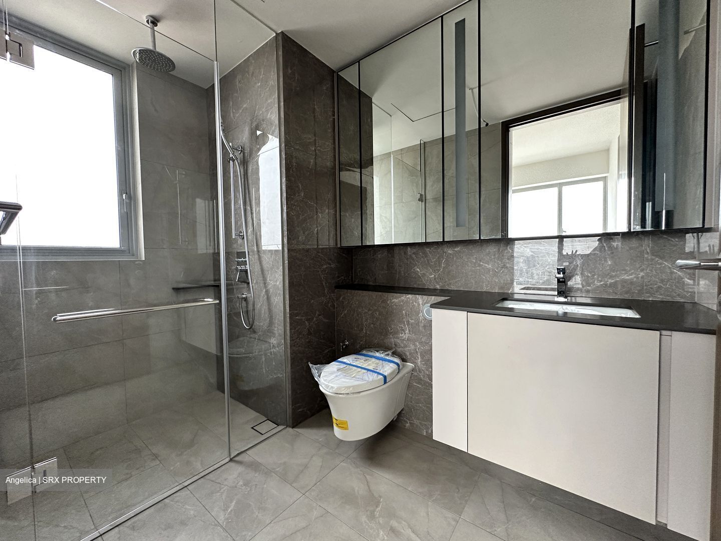 Grand Dunman (D15), Apartment #623564511
